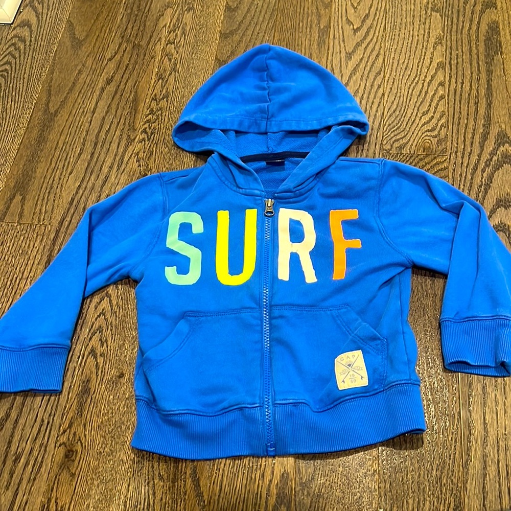 Gap Hoodie